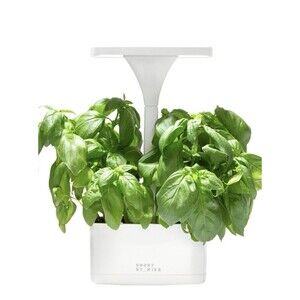 Plant Light Short Stories LED Indoor Planter Great For Growing Herbs